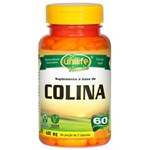 Ficha técnica e caractérísticas do produto Colina Vitamina B8 60 Cápsulas
