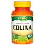 Ficha técnica e caractérísticas do produto Colina Vitamina B8 60 cápsulas