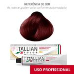 Ficha técnica e caractérísticas do produto Coloração Cereja 6.60 (660) Italian Color 60g