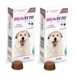 Ficha técnica e caractérísticas do produto Combo Bravecto Antipulgas E Carrapatos Para Cães De 40 56kg 2 unidades