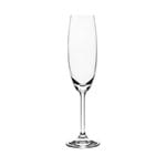 Ficha técnica e caractérísticas do produto Conjunto de 6 Taças para Champagne em Vidro Cristalino 220ml Roberta Bohemia