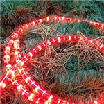 Ficha técnica e caractérísticas do produto Corda Luminosa Taschibra LED 13MM - 2 Fios 6M Vermelha Pote