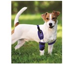 Ficha técnica e caractérísticas do produto Cotoveleira para Cães - Tamanho EXGG - Vestdog