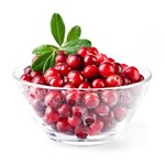 Ficha técnica e caractérísticas do produto Cranberry Inteiro 1kg