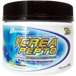 Ficha técnica e caractérísticas do produto Crea Pepto 150Gr - Performance Nutrition