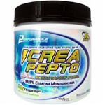 Ficha técnica e caractérísticas do produto Crea Pepto Science 300g - Performance Nutrition