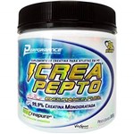 Ficha técnica e caractérísticas do produto Creatina Performance Nutrition - Crea Pepto (300g)