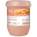Ficha técnica e caractérísticas do produto Creme Esfoliante Média Abrasão Apricot 650g - Dágua Natural