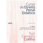 Ficha técnica e caractérísticas do produto Curso de Direito Penal Didatico