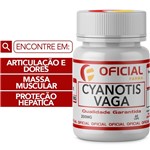 Ficha técnica e caractérísticas do produto Cyanotis Vaga 200Mg 60 Cápsulas - Oficialfarma