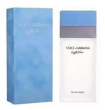 Ficha técnica e caractérísticas do produto D G Light Blue Eau de Toilette Feminino 100ml - Dolce Gabbana