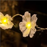 Ficha técnica e caractérísticas do produto Decoração Iluminada em LED Flores Brancas - Orb Christmas