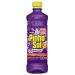 Ficha técnica e caractérísticas do produto Desinfetante Pinho Sol 500ml Citrus Lavan