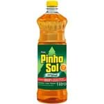 Ficha técnica e caractérísticas do produto Desinfetante Pinho Sol Original 1l