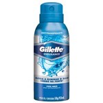 Ficha técnica e caractérísticas do produto Desodorante Gillette Antitranspirante Spray Cool Wave - 150ml