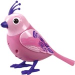 Ficha técnica e caractérísticas do produto DigBirds - Pássaro Rosa - DTC