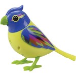 Ficha técnica e caractérísticas do produto Digibirds Sunbeam DTC Verde e Azul