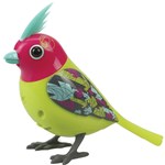 Ficha técnica e caractérísticas do produto Digibirds Sunbeam DTC Verde e Rosa