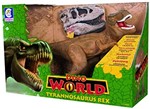 Ficha técnica e caractérísticas do produto Dinossauro Dino World Tyrannosaurus Rex - Cotiplás