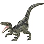 Ficha técnica e caractérísticas do produto Dinossauro Eletrônico Growler Jurassic World Velociraptor Blue - Hasbro