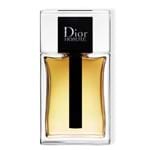 Ficha técnica e caractérísticas do produto Dior Homme Dior - Perfume Masculino - EDT 100ml