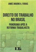 Ficha técnica e caractérísticas do produto Direito do Trabalho no Brasil - Ltr