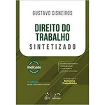 Ficha técnica e caractérísticas do produto Direito Do Trabalho Sintetizado - 02ed/18