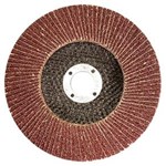 Ficha técnica e caractérísticas do produto Disco de Desbaste Flap-disc 9" X 7/8" X 6,0 Mm