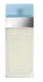 Ficha técnica e caractérísticas do produto Dolce Gabbana Light Blue Eau de Toilette 100ml Feminino