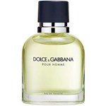 Ficha técnica e caractérísticas do produto Dolce Gabbana Pour Homme Eau de Toilette Perfume Masculino - 40ml