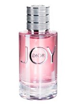 Ficha técnica e caractérísticas do produto Eau de Parfum Dior Joy Perfume Feminino 30ml - não