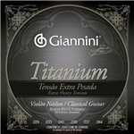 Ficha técnica e caractérísticas do produto Encordoamento Giannini Violão Revestimento em Bronze Genwxta