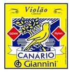 Ficha técnica e caractérísticas do produto Encordoamento Violao Giannini Genw Nylon Canário