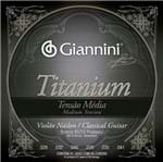Ficha técnica e caractérísticas do produto Encordoamento Violao Giannini Genwtm Titanium Bronze 85/15 Prateado