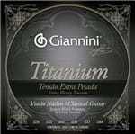 Ficha técnica e caractérísticas do produto Encordoamento Violao Giannini Genwxta Titanium Bronze 85/15 Prateado