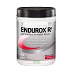 Ficha técnica e caractérísticas do produto Endurox R4 - Pacific Health - Chocolate