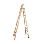 Ficha técnica e caractérísticas do produto Escada Pintor 9 Degraus + Gancho 1 Posição Alt.290cm W Bertolo