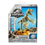 Ficha técnica e caractérísticas do produto Esqueletos Jurassicos Jurassic World Mattel