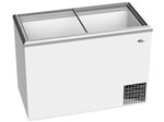 Ficha técnica e caractérísticas do produto Expositor/Freezer Horizontal 2 Portas Venax 420L - FVTV420