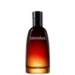Ficha técnica e caractérísticas do produto Fahrenheit Dior Eau de Toilette - Perfume Masculino 50ml