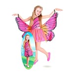 Ficha técnica e caractérísticas do produto Fantasia Barbie Butterfly Luxo - Sulamericana