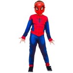 Ficha técnica e caractérísticas do produto Fantasia Homem Aranha Ultimate Longo - Rubies - G