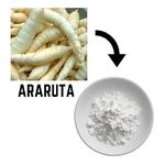 Ficha técnica e caractérísticas do produto Farinha de Araruta 1 Kg