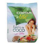 Farinha de Coco 400g