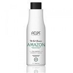 Ficha técnica e caractérísticas do produto Felps Amazon The Best Shampoo que Alisa Liss Express - 1L