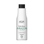 Ficha técnica e caractérísticas do produto Felps Profissional The Best Shampoo que Alisa Amazon 1000M