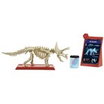 Ficha técnica e caractérísticas do produto Figura Básica Jurassic World 2 Esqueleto Jurássico Triceratops FTF03 Mattel