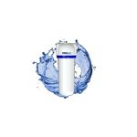 Ficha técnica e caractérísticas do produto Filtro para Caixa D Água FORTLEV