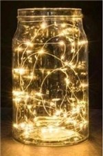 Ficha técnica e caractérísticas do produto Fio Cobre Prata Cordão Luz Fada 3m 30 Leds Fairy Light - B2t