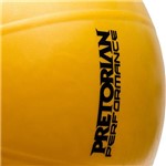 Ficha técnica e caractérísticas do produto Fit Ball Pro Pretorian Performance 55CM - FBP-55-PP
